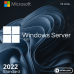 Microsoft Windows Server 2022 Standard ESD 