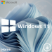 Microsoft Windows 11 Home 64-bit ESD, Digital para Download