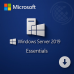 Microsoft Windows Server 2019 Essentials 