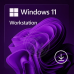 Microsoft Windows 11 Workstation 64bits ESD