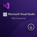 Microsoft Visual Studio 2022 Enterprise - ESD