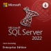 Microsoft SQL Server 2022 Enterprise Core Licensing