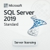 Microsoft SQL Server 2019 Standard