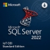 Microsoft SQL Server 2022 Standard RUNTIME IoT OEI 4 Core