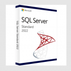 Microsoft SQL Server 2022 Standard Edition 